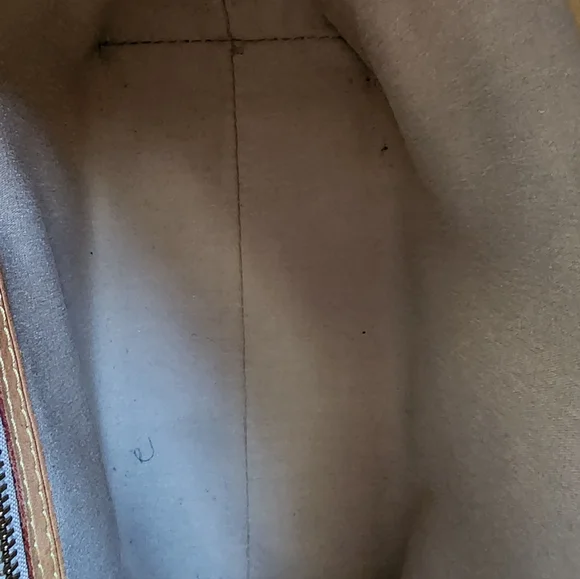 Louis Vuitton Reade PM Shimmering Gold Tote - Authencity Cert Included - Picture 10 of 12